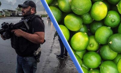 Limones en michoacán, alex sánches, noticias de michoacán