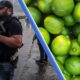 Limones en michoacán, alex sánches, noticias de michoacán